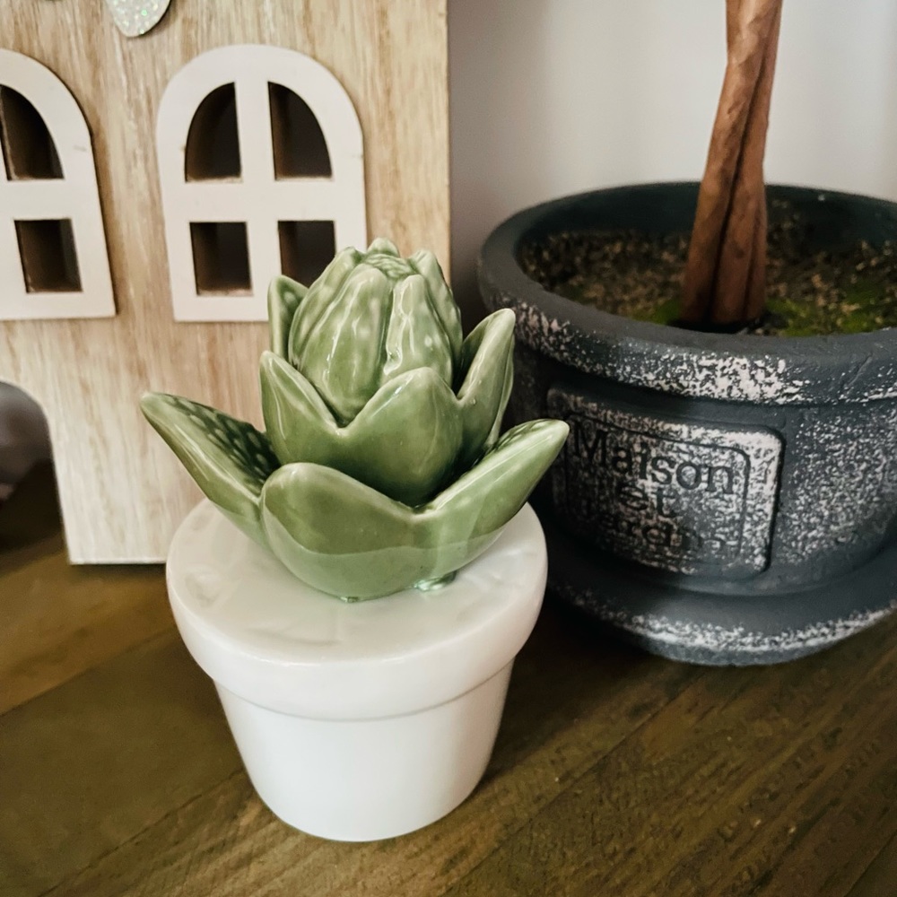 Succulent ceramic home decor